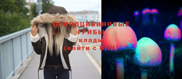 соль ск Балахна