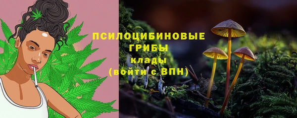 соль ск Балахна