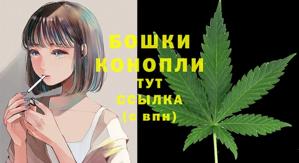 соль ск Балахна