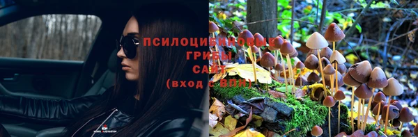 дживик Балабаново