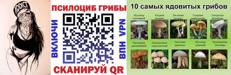 Псилоцибиновые грибы GOLDEN TEACHER  mega зеркало  Киреевск 
