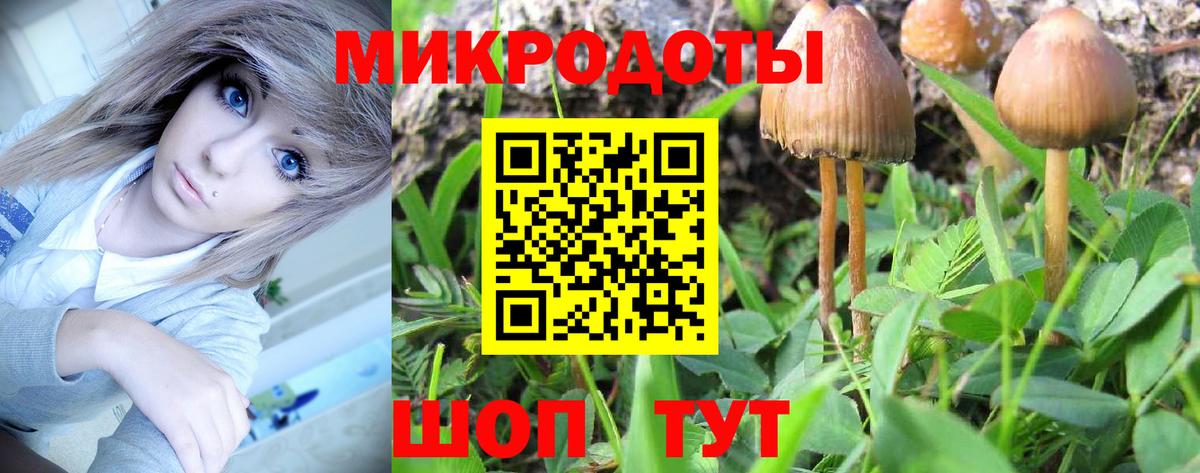 Киреевск  Псилоцибиновые грибы Psilocybe  Вход с VPN 